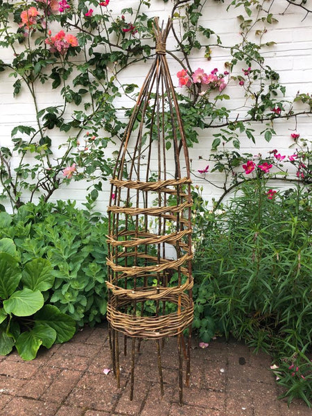 climbing plant support online course