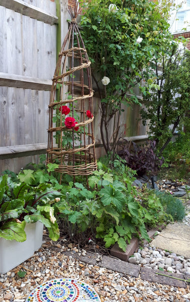 climbing plant support online course