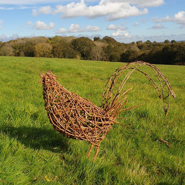 Willow chicken