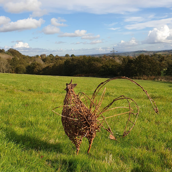 Willow chicken