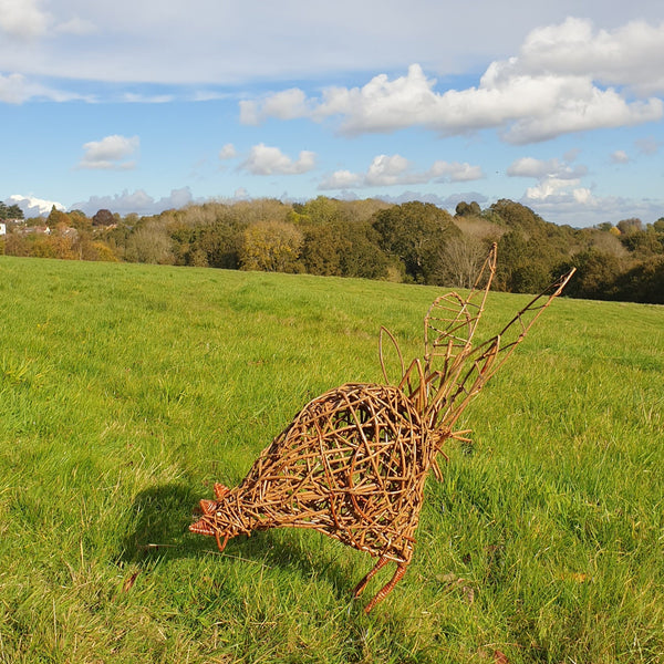 Willow chicken
