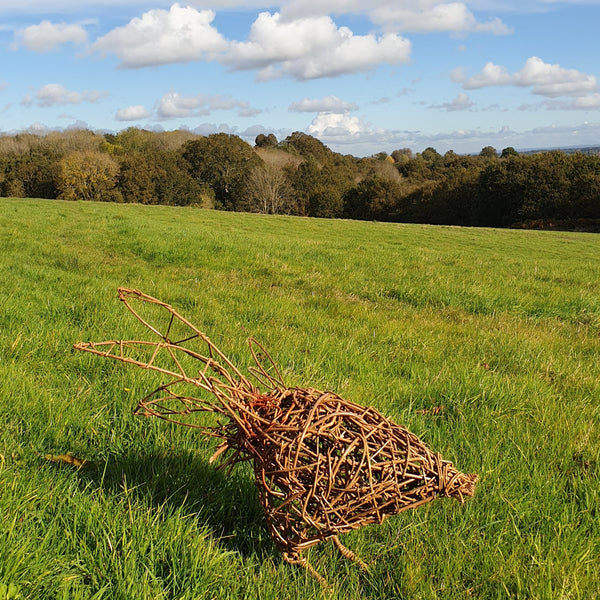 Willow chicken