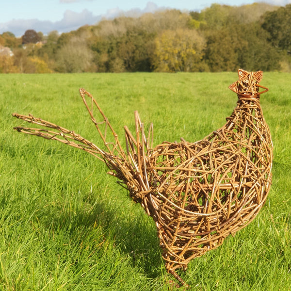 Willow chicken