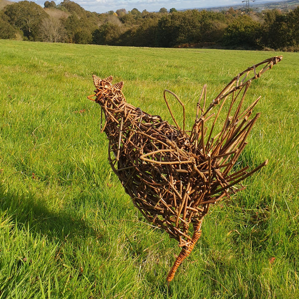 Willow chicken