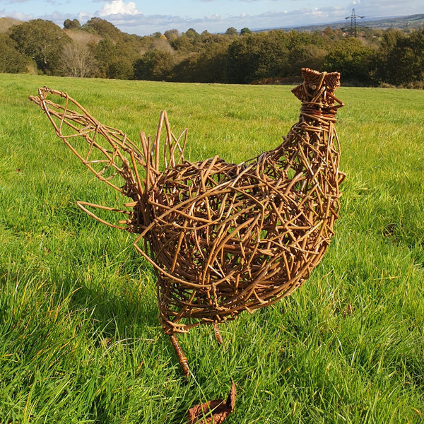 Willow chicken