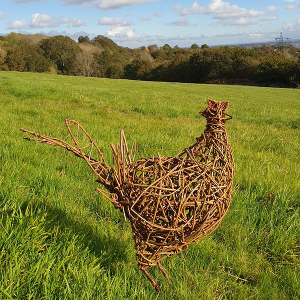 Willow chicken