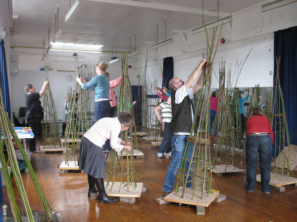 climbing plant support online course