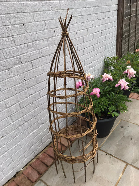 climbing plant support online course