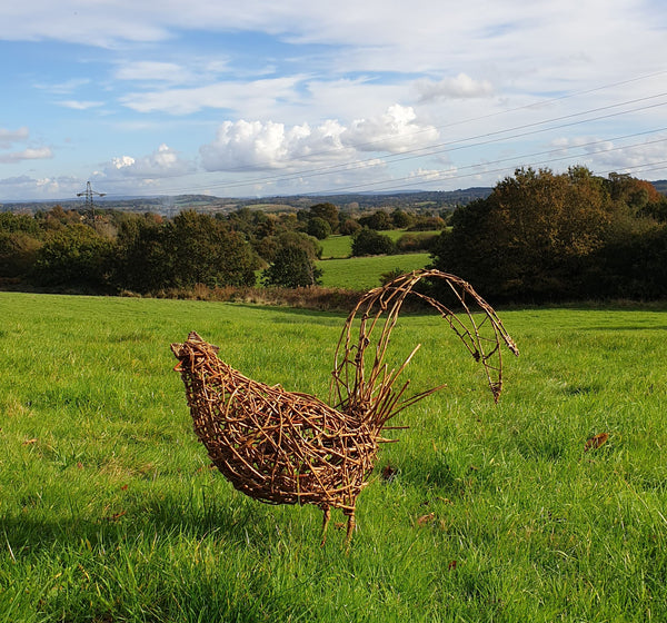 Willow chicken