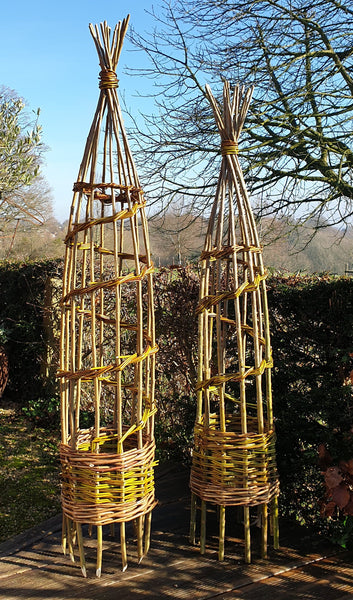 gift version - climbing plant support online course