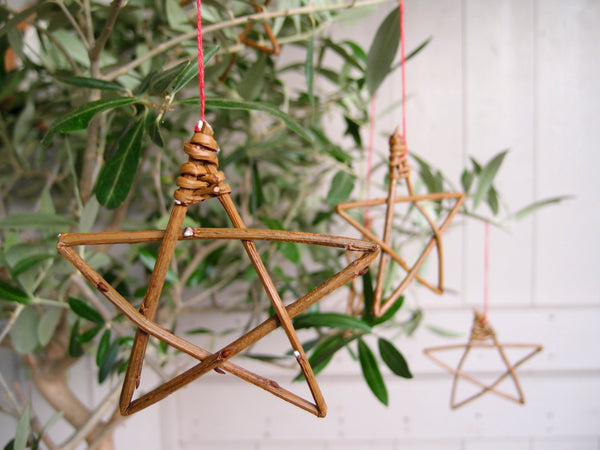 gift version - willow star online course
