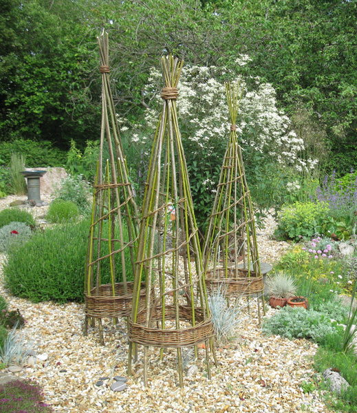gift version - climbing plant support online course