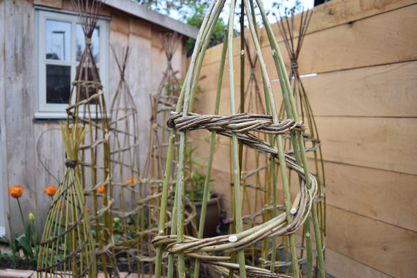 gift version - climbing plant support online course