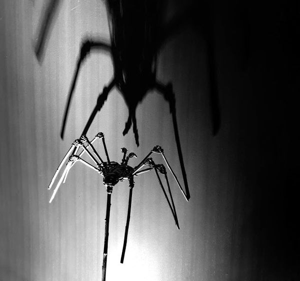 Make a Spooky Willow Spider in Farnham on 31st October 2025