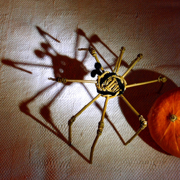 Make a Spooky Willow Spider in Farnham on 31st October 2025